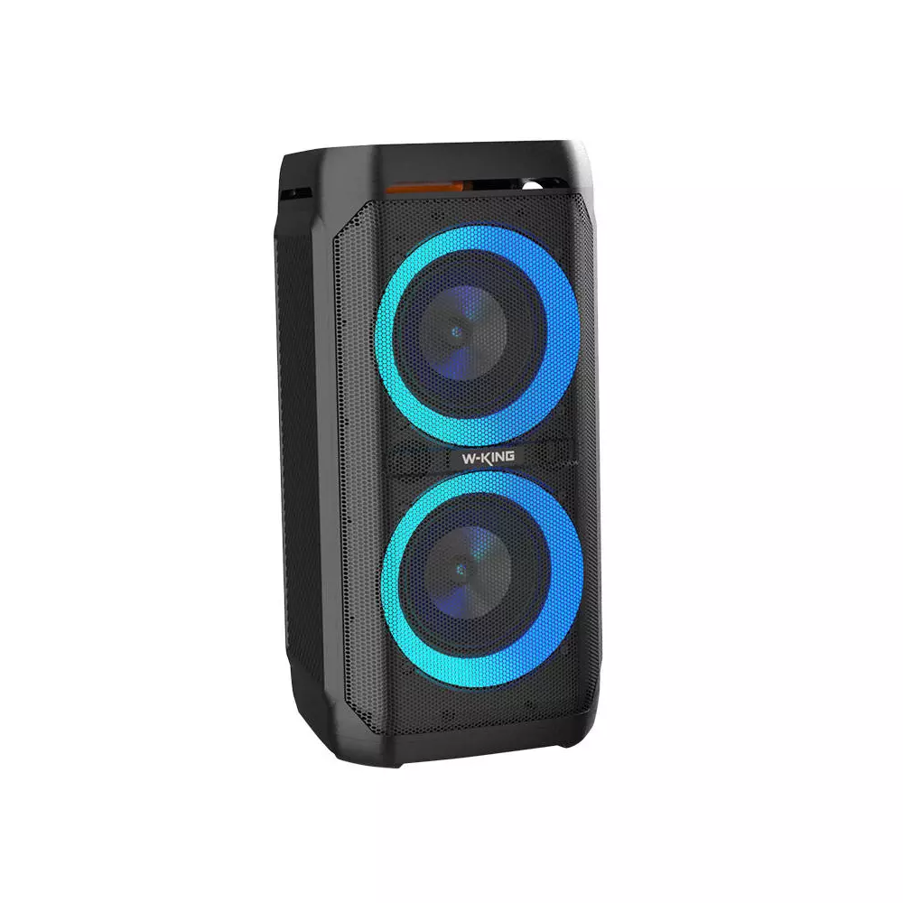 Wireless Bluetooth Speaker W-KING T11 100W (black)