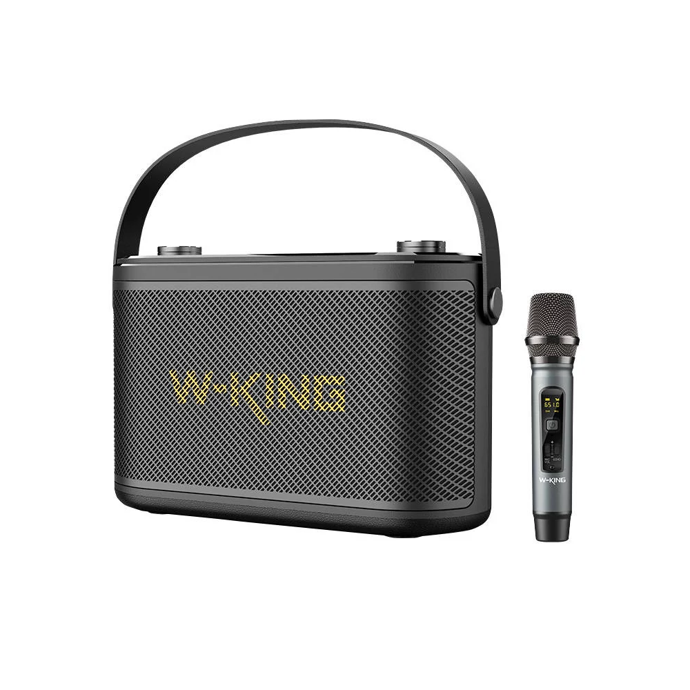 Wireless Bluetooth Speaker W-KING H10 S 80W + microphone (black)