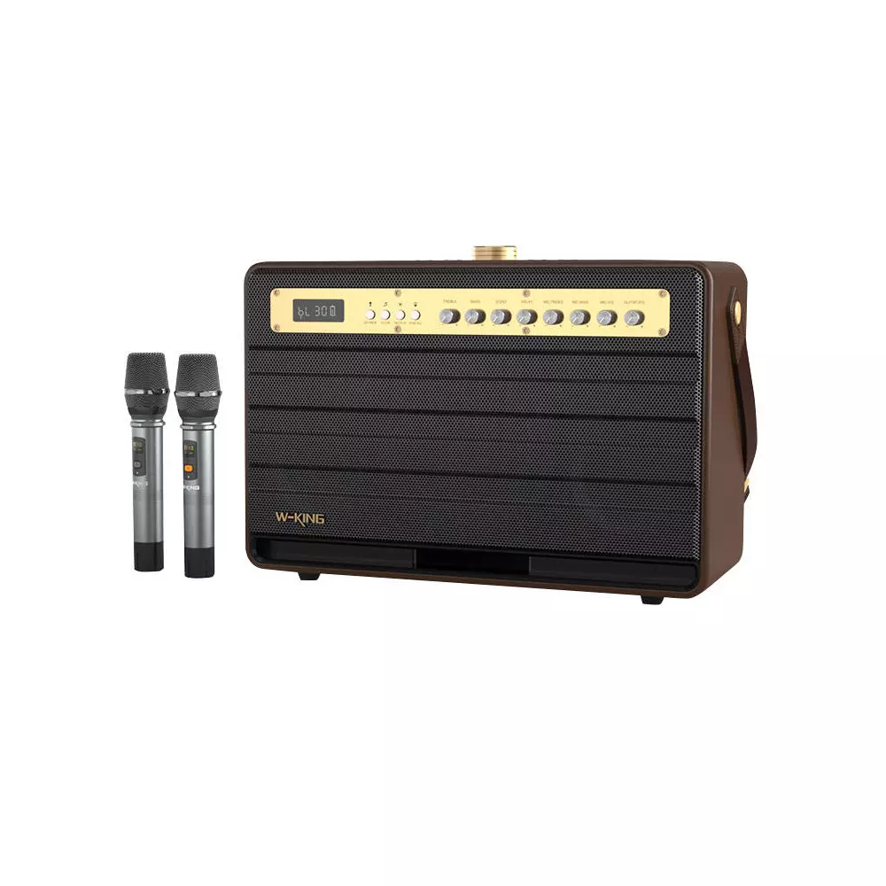 Wireless Bluetooth Speaker W-KING K6L 120W + 2 microphones (brown)