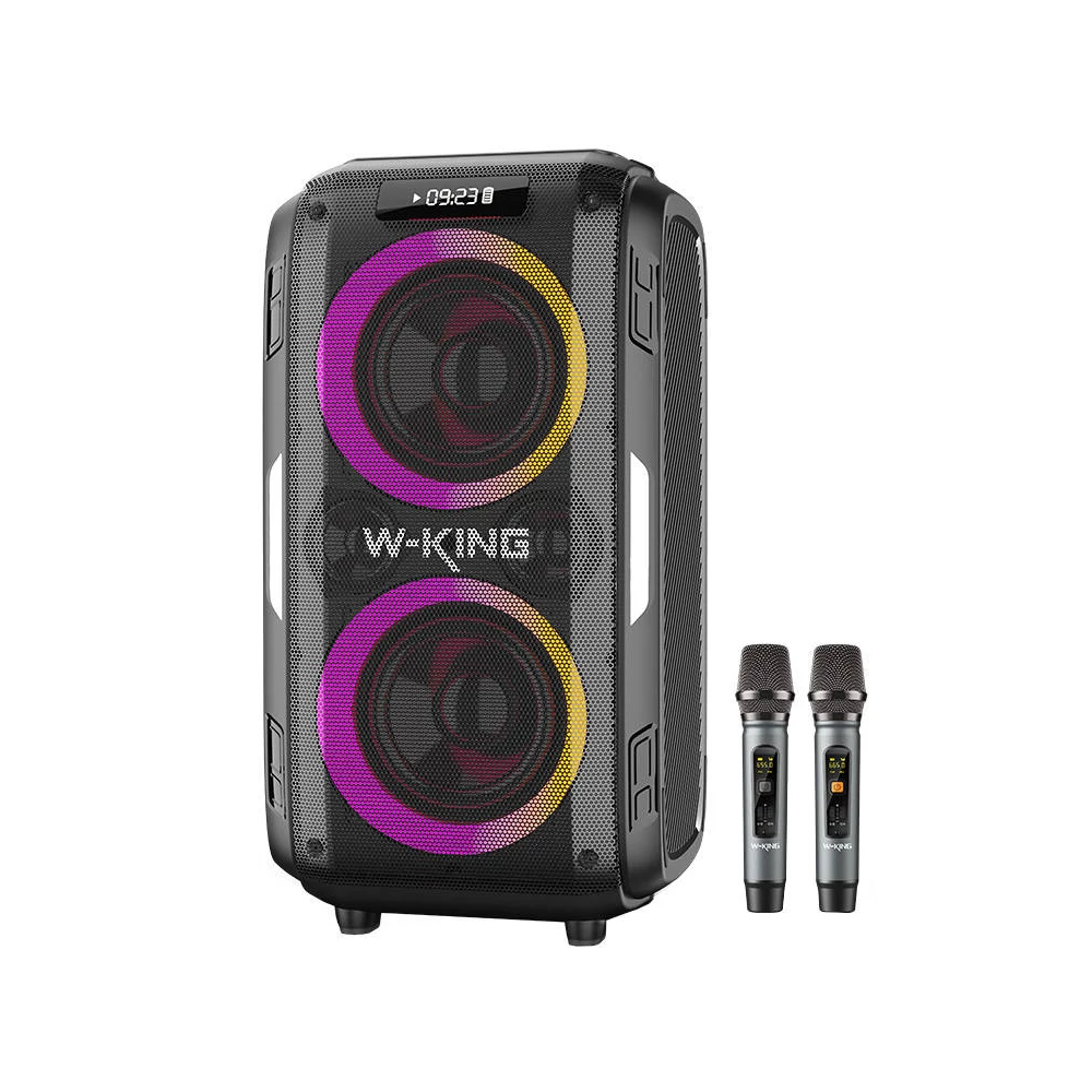 Wireless Bluetooth Speaker W-KING T9 Pro 120W + 2 microphones (black)