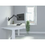 Kép 9/10 - Equip Monitor Fali konzol - 650137 (17