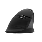 Kép 2/4 - Vezeték nélküli függőleges egér Delux M618Mini DB BT+2.4G 2400DPI (fekete)