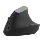 Kép 2/6 - Vezeték nélküli függőleges egér Delux M618C 2.4G 1600DPI RGB (fekete)