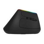 Kép 4/6 - Vezeték nélküli függőleges egér Delux M618C 2.4G 1600DPI RGB (fekete)