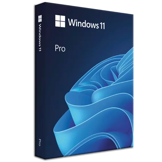 Windows 11 Professional - Digitális Licence