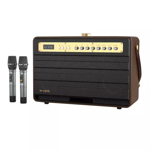 Wireless Bluetooth Speaker W-KING K6L 120W + 2 microphones (brown)