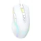 Gaming mouse onikuma CW905 white wired