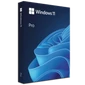 Windows 11 Professional - Digitális Licence