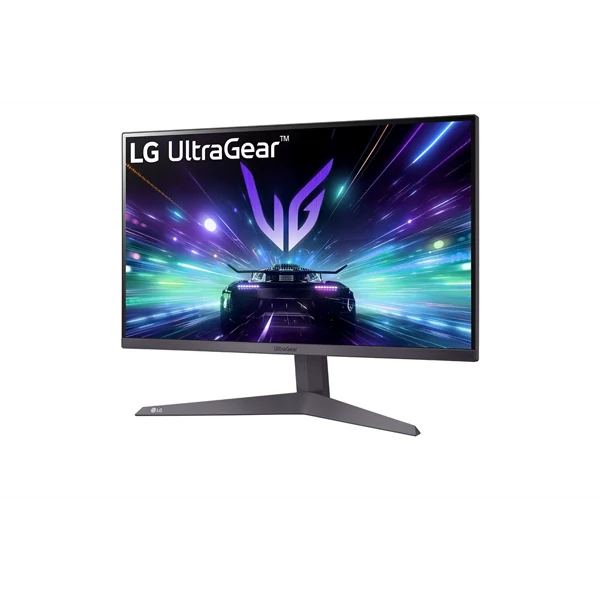 LG Monitor 24