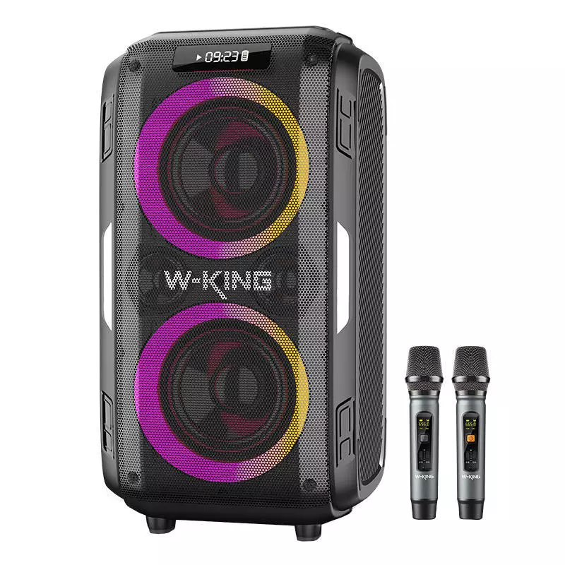 W-KING T9 Pro 120W Vezeték nélküli Bluetooth hangszóró (fekete)